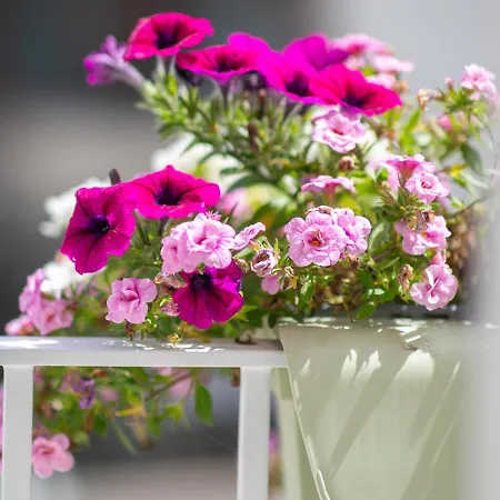 Dimora Felice